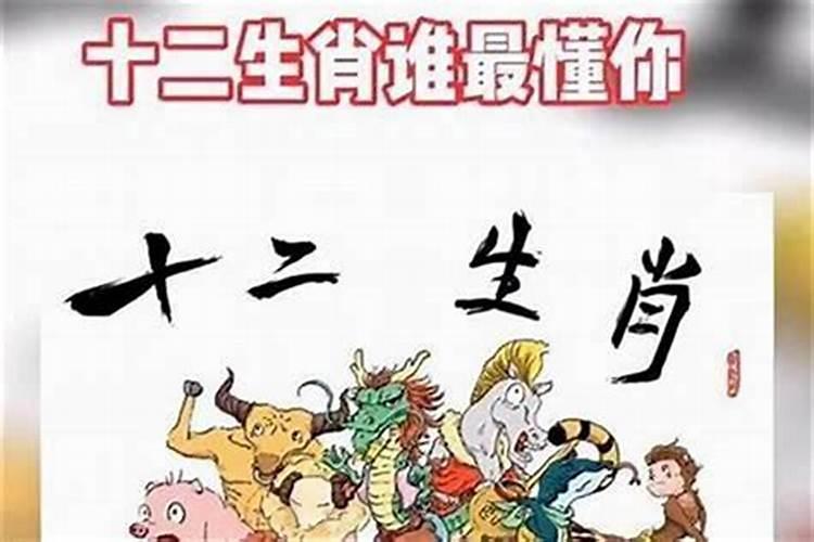 哪个生肖最穷？