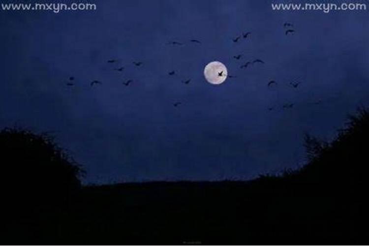 梦见黑夜是什么意思？