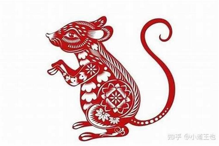 属鼠2027上半年运势