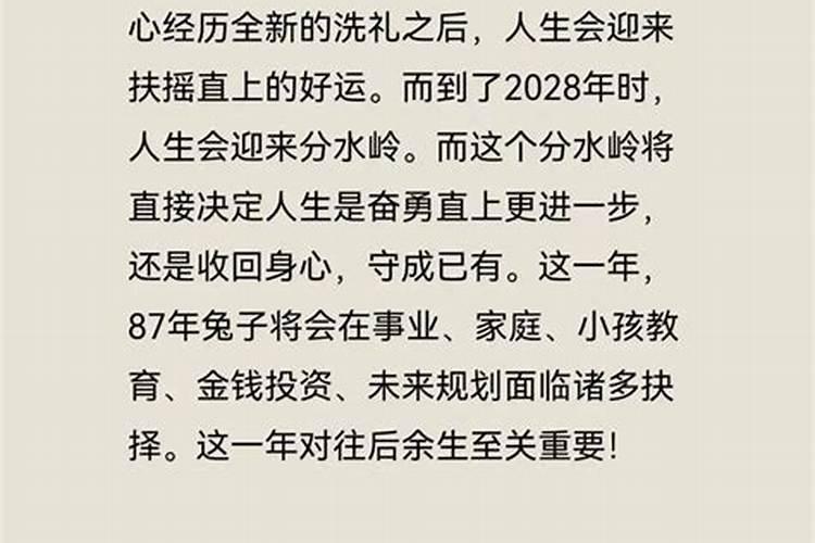 属兔人2027年学业运势如何？
