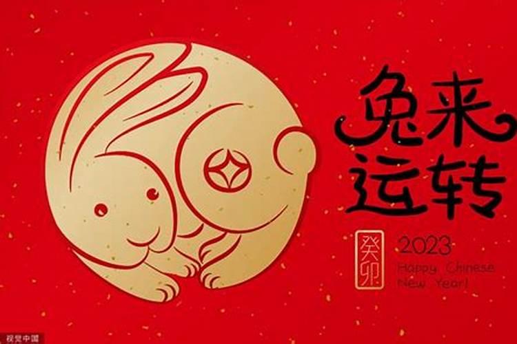 什么时候兔子本命年？