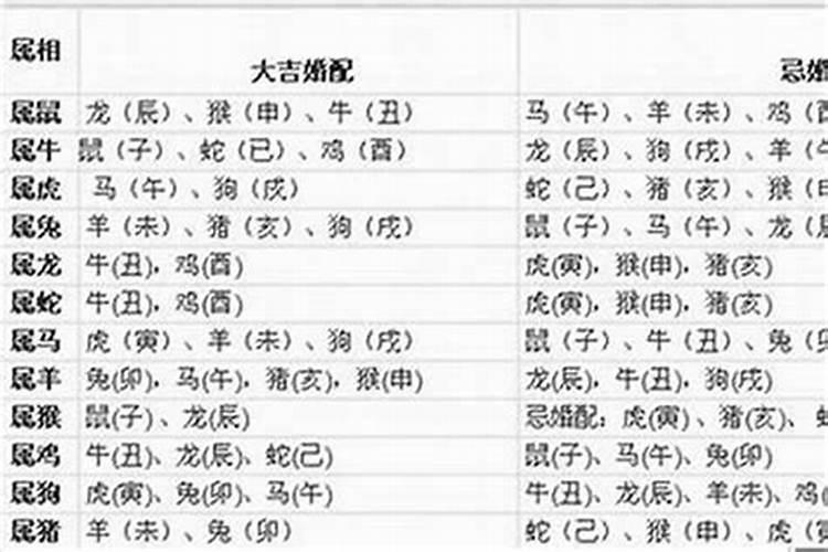 狗年和什么属相婚配最好？