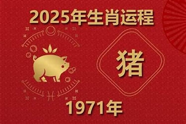 1971年局猪2027年运势