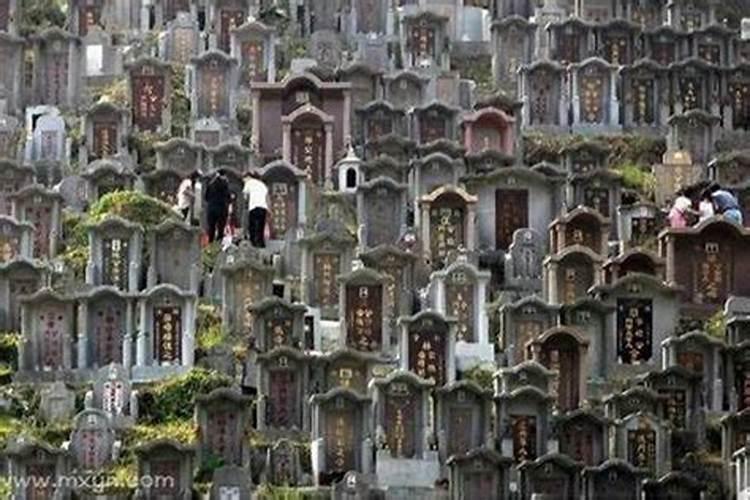 梦见墓地是什么预兆很害怕？