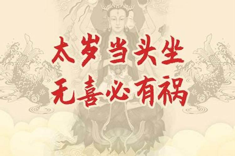 猪本命年犯太岁佩戴什么？