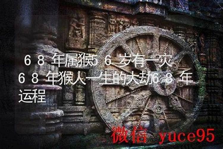 68年属猴的人一生运程