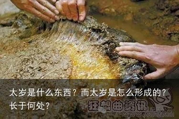 太岁是什么有什么功效？