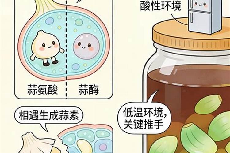 腊八豆几天变绿？