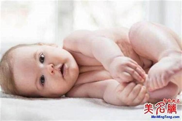 冬至出生猪宝宝名字