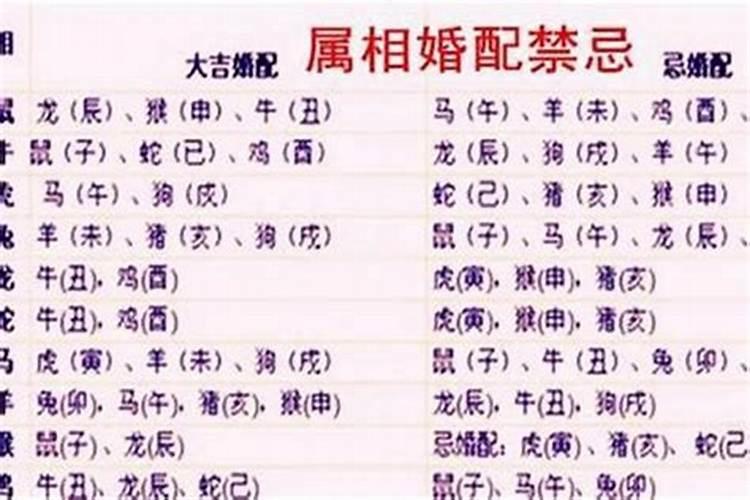 女属羊婚配哪个属相最好？