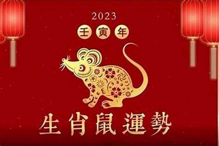 72年的老鼠在2027年运程如何？