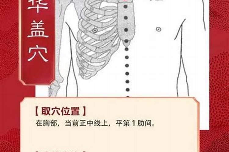 批八字华盖什么意思鸿兰？