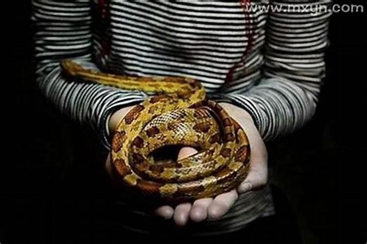 梦见蛇咬我手是什么意思？