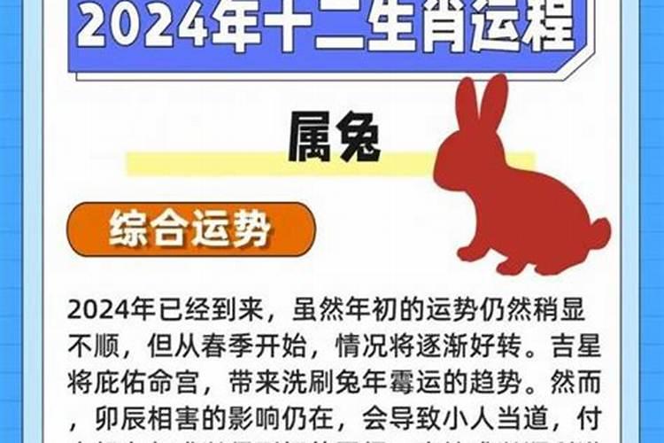 属狗人2027下半年运势大全
