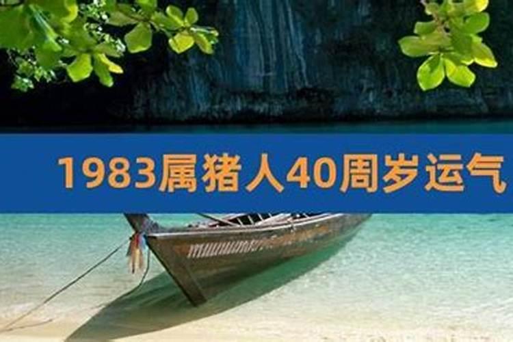 83年的人运程怎么样？