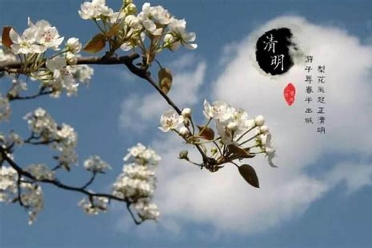 明年清明节是新历几号？