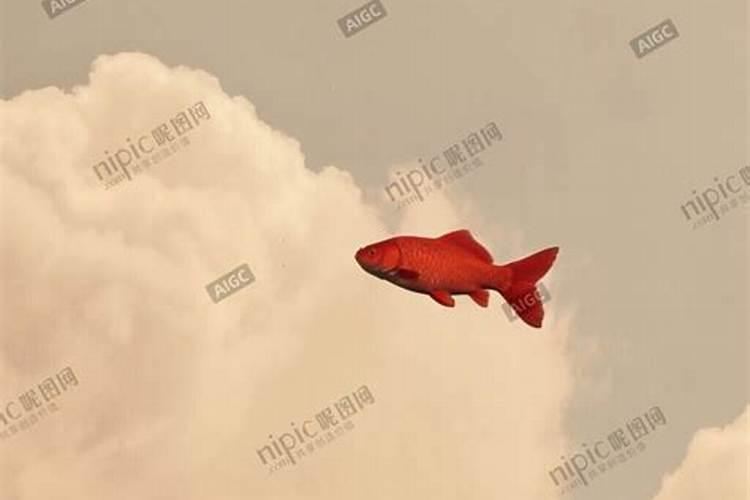 梦见红色鱼在天上飞