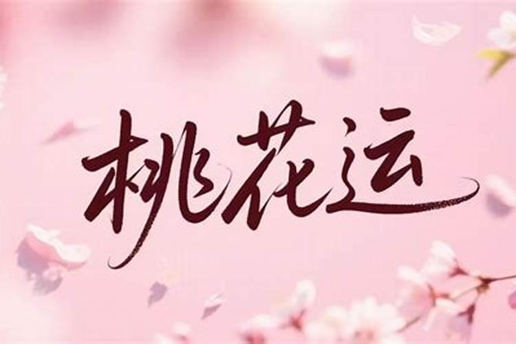 桃花运什么意思？