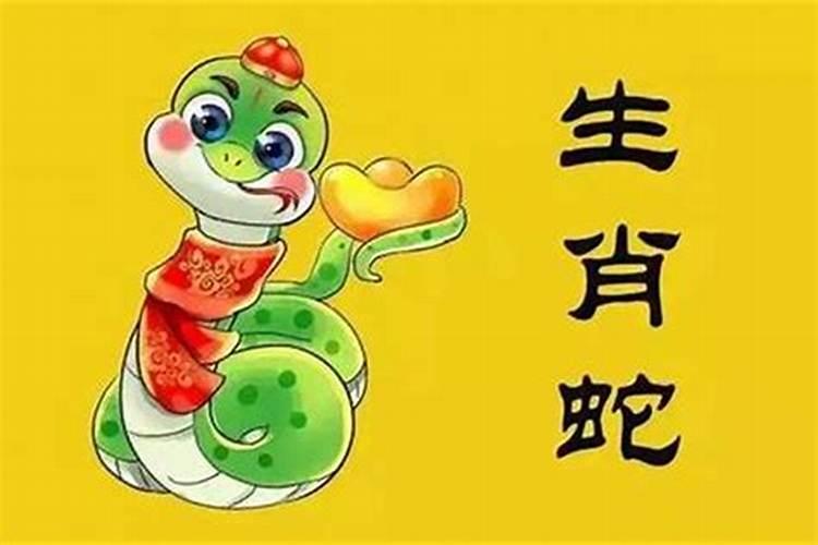 2027年属蛇的运势如何？