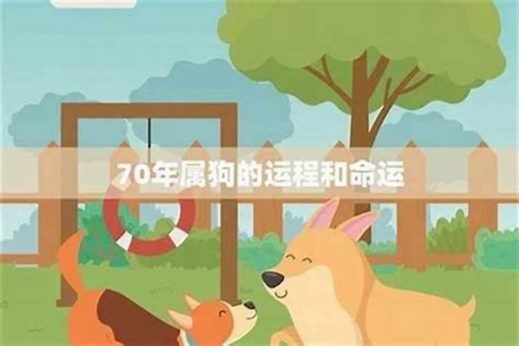 2027年70年出生的属狗人运势