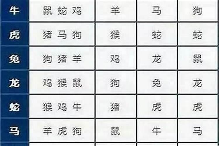 跟牛属相婚配合适吗？
