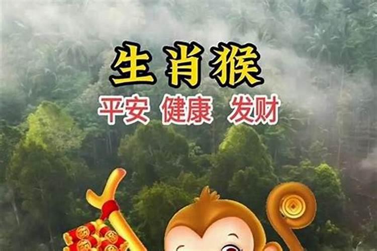 三月十五生日命运如何？
