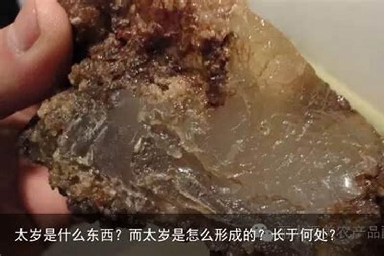 太岁是什么东西太岁肉透明吗？