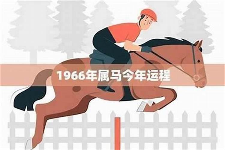 66生属马人在2027年运程