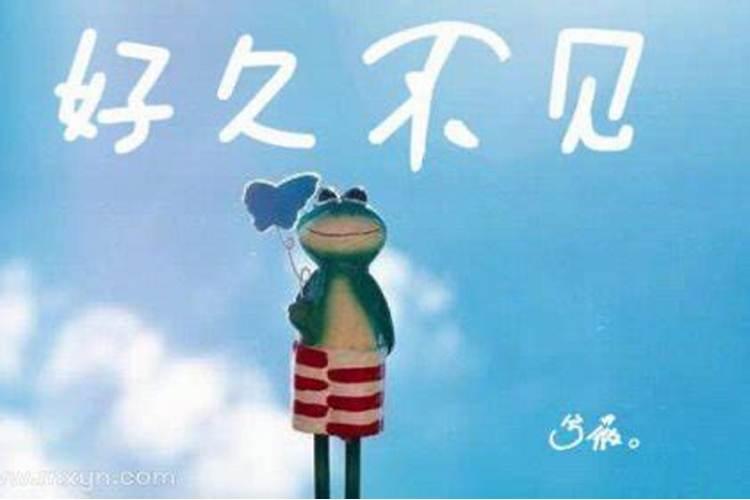 梦见好久不见的以前同事