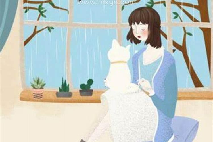 女人梦见猫预示着什么？