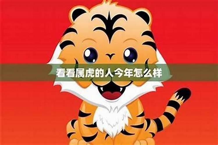 生肖人今年运势如何破解？