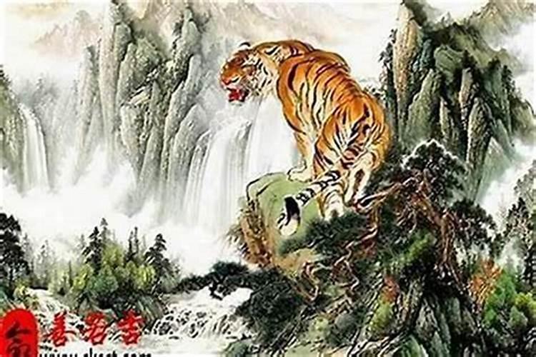 属虎男31岁今年运势