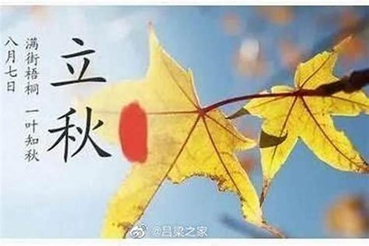 立秋是第几个节气？