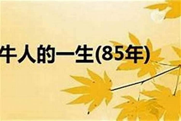 1985的人2027的运程如何？