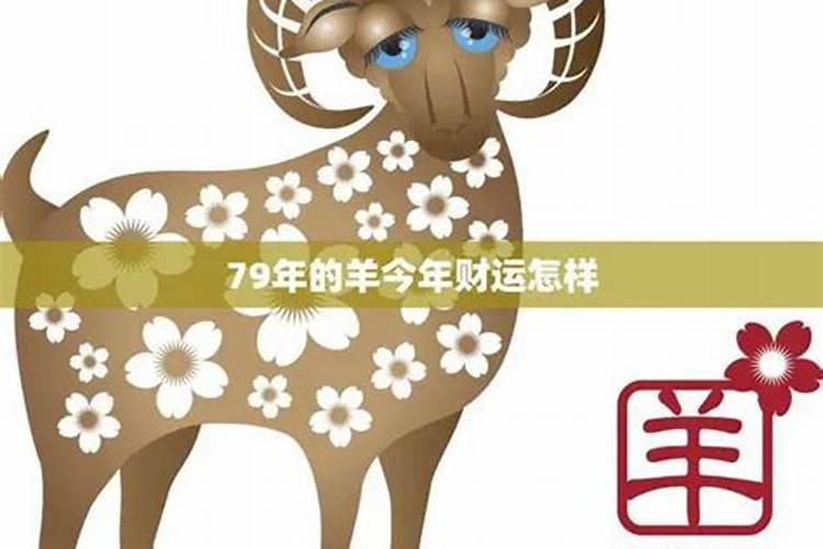 79的羊今年的运势