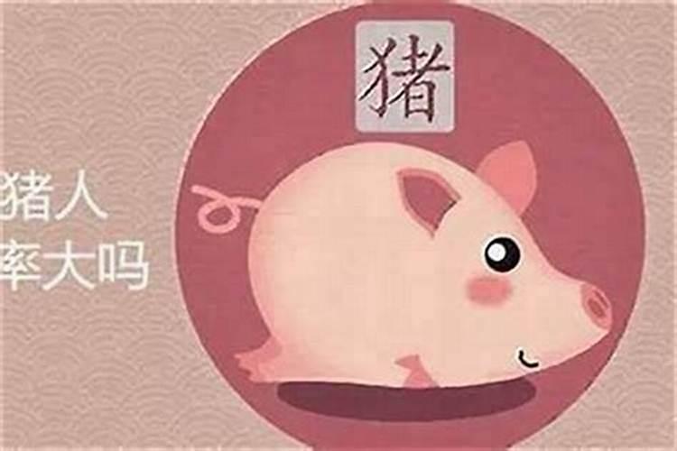 属猪人女的今年运势如何？