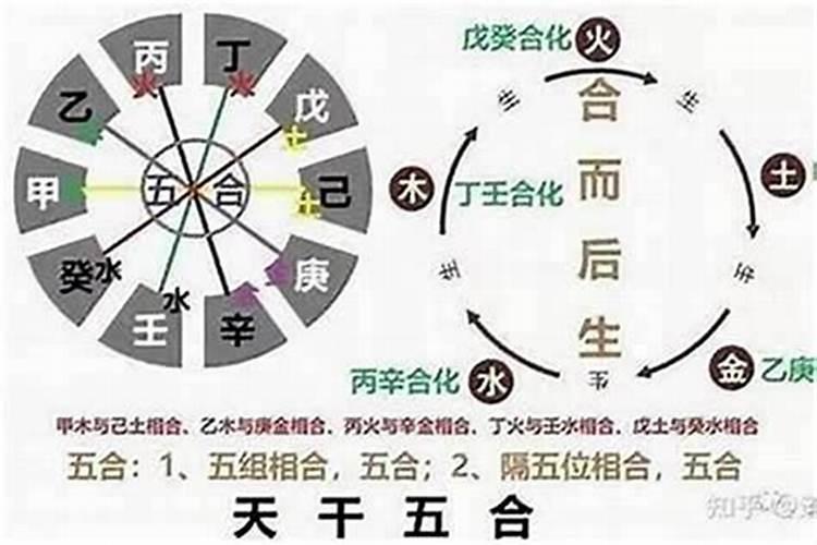 如果生肖不合八字合