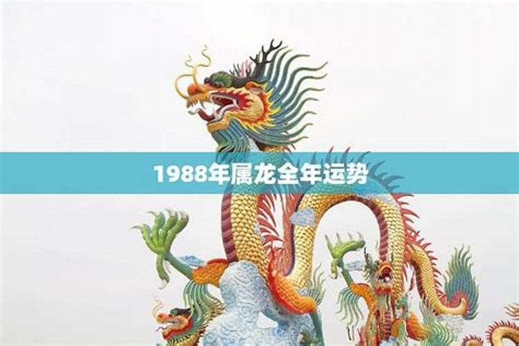 1988年属龙运势在哪年会比较好？