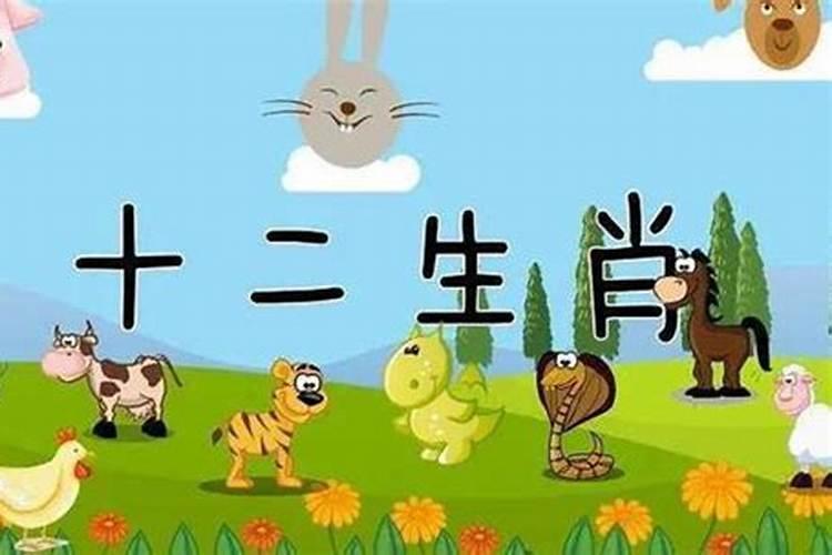 牛羊婚配属相化解