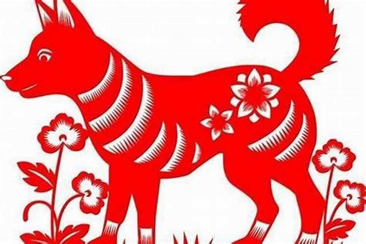 正月十五生肖狗运势怎么样？