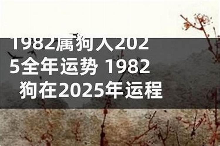 1982年生的2027年运程