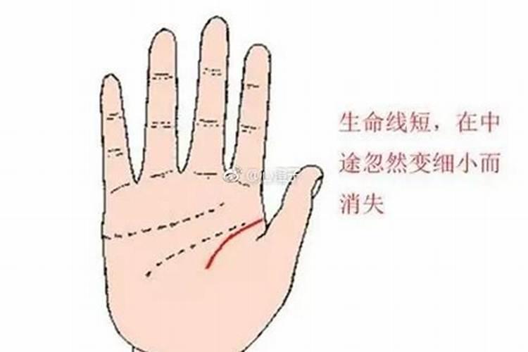 生命线短寿命就短吗？
