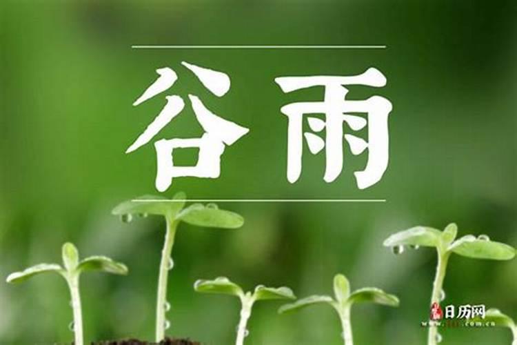 清明之后是谷雨应注意什么？