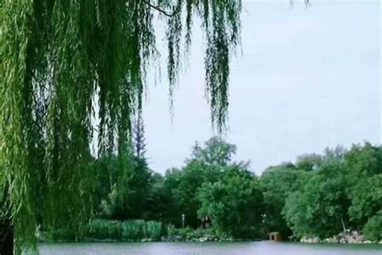 有什么可以提升运气的方法？