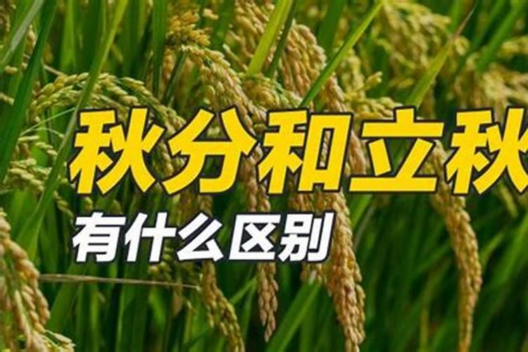 立秋和秋分有什么区别？