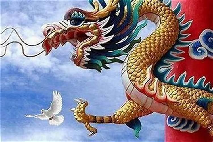 属兔和属狗的八字合吗？