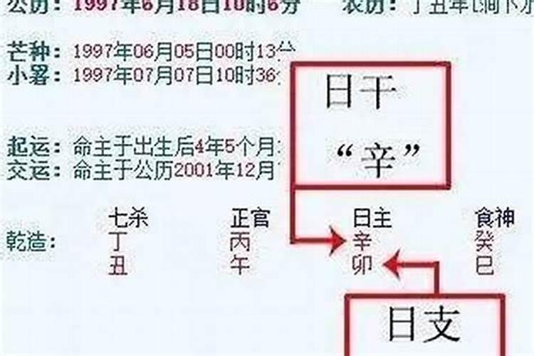 合婚日干相合是什么？