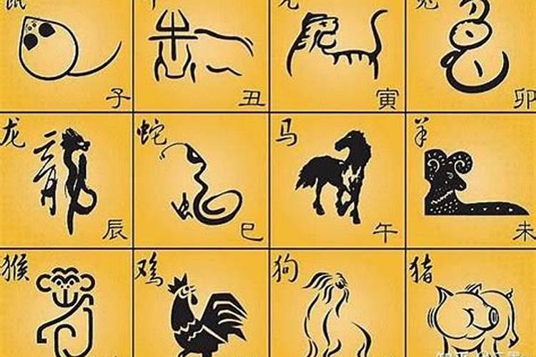 属相婚配男羊和女狗相配吗？