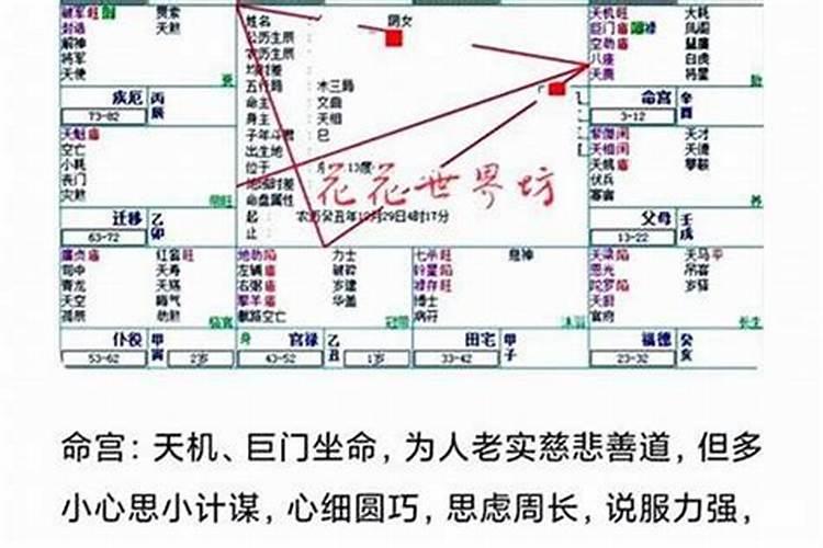 本命年的运气果然不是盖的