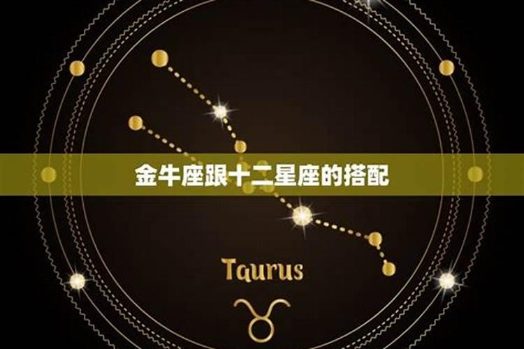 金牛座男金牛座女配对指数